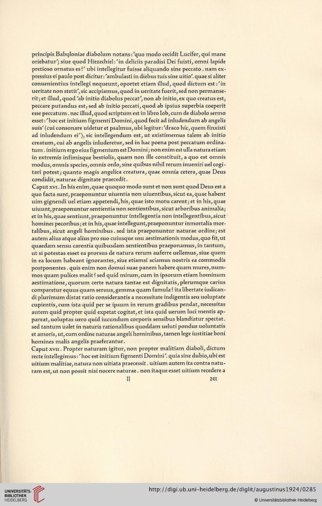 s241.jpg