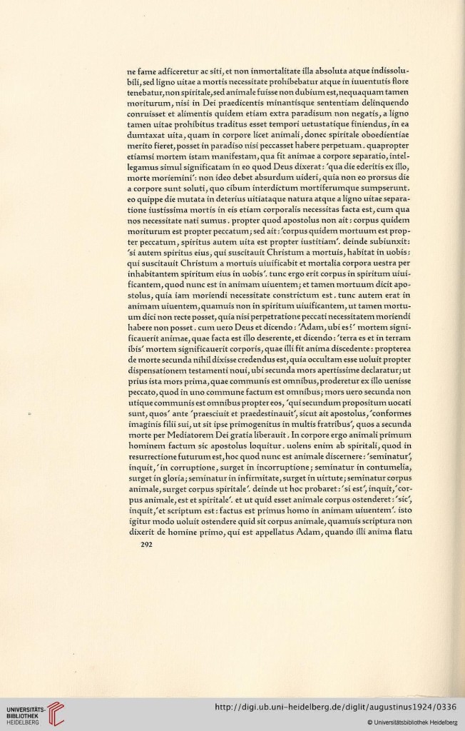 s292.jpg