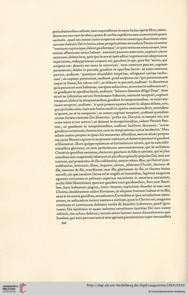 s306.jpg