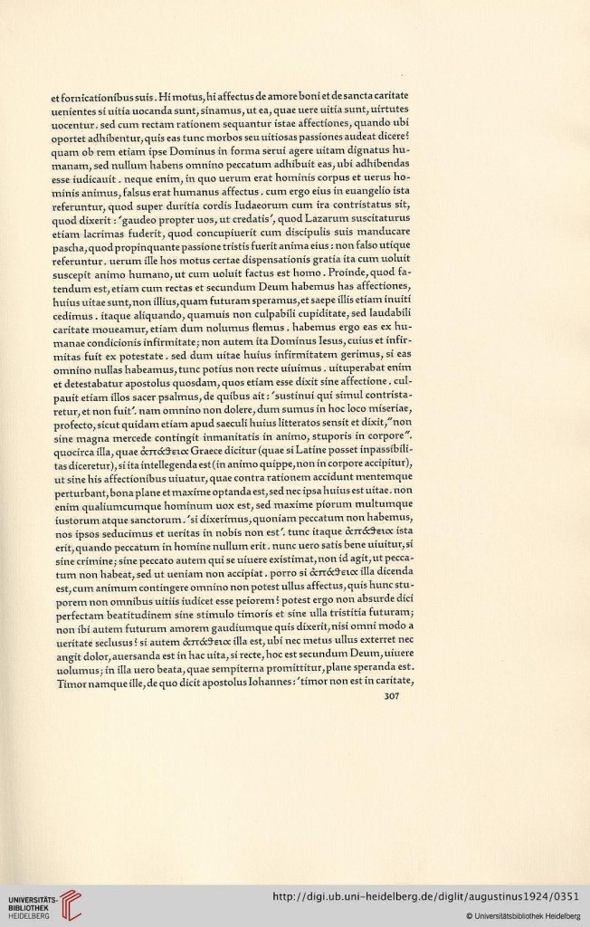 s307.jpg