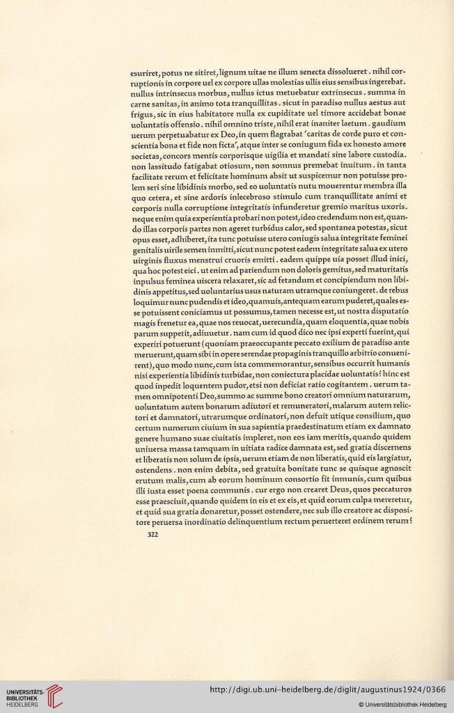 s322.jpg