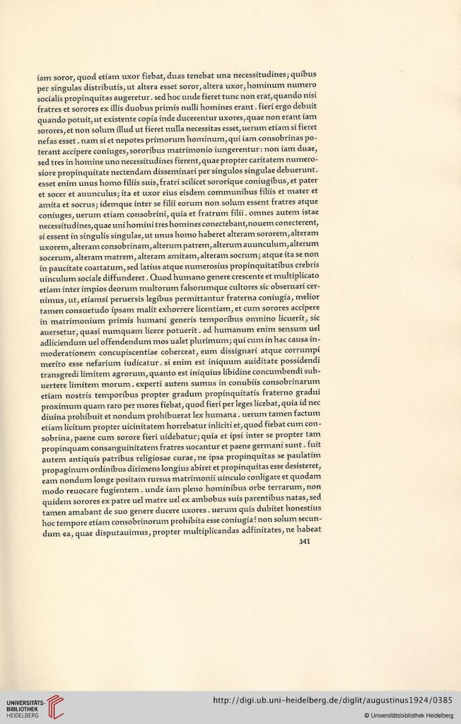 s341.jpg
