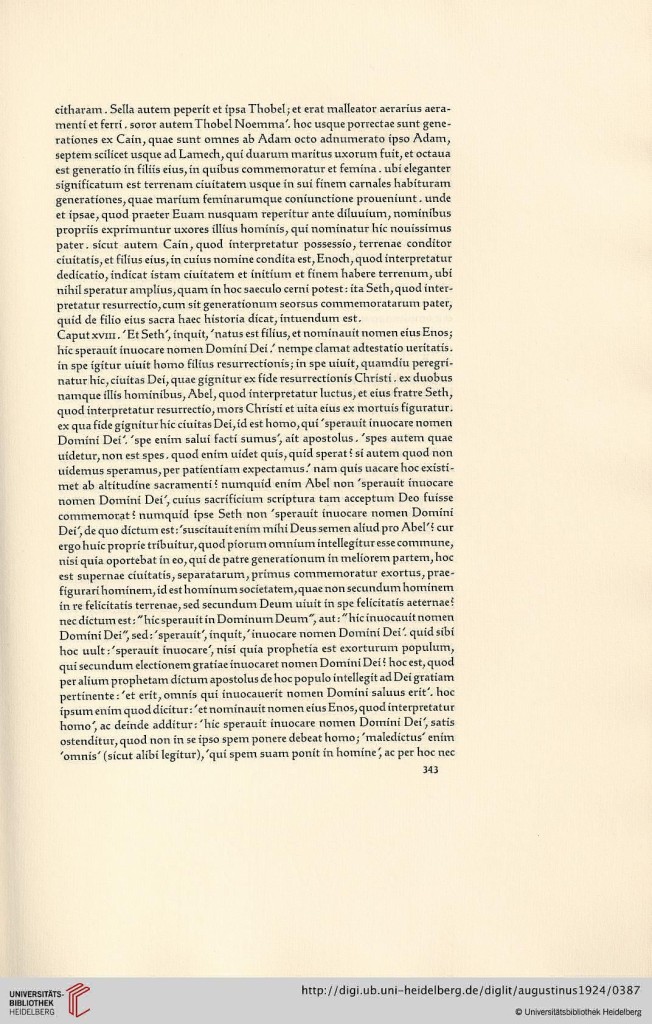 s343.jpg