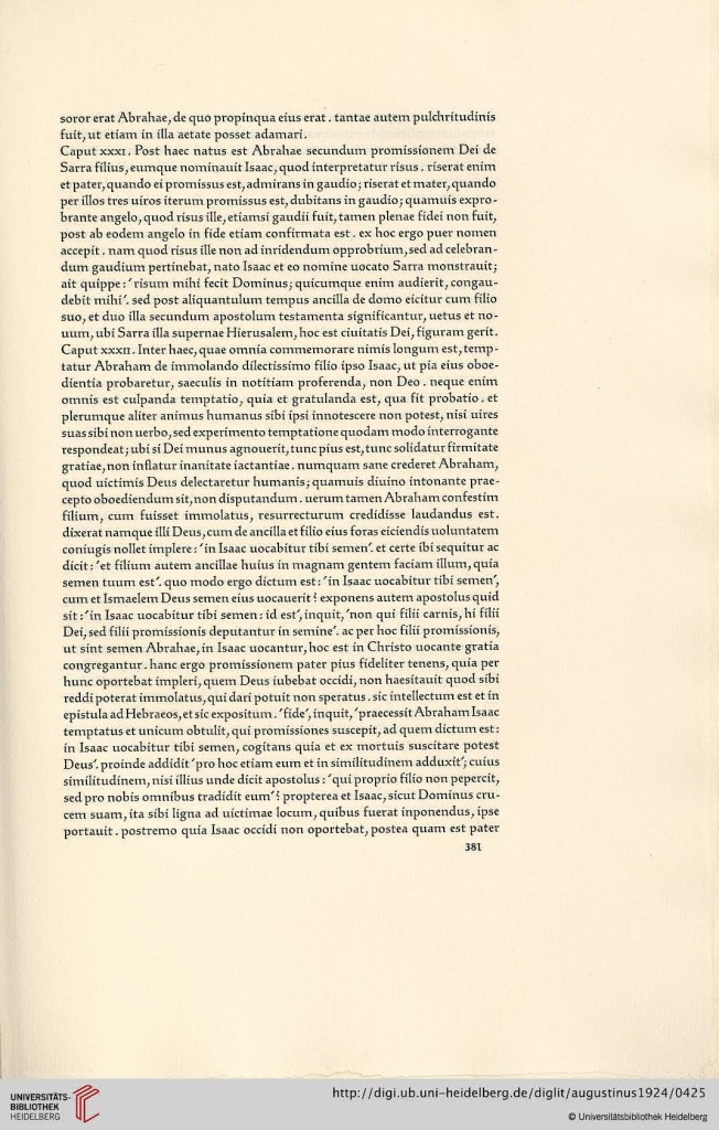 s381.jpg