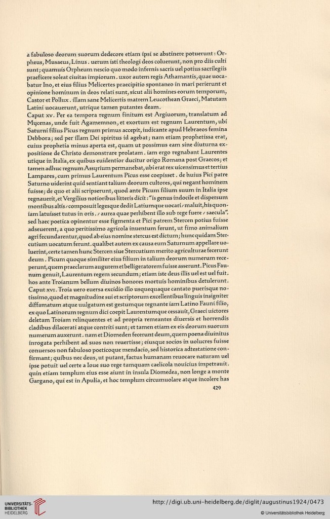 s429.jpg